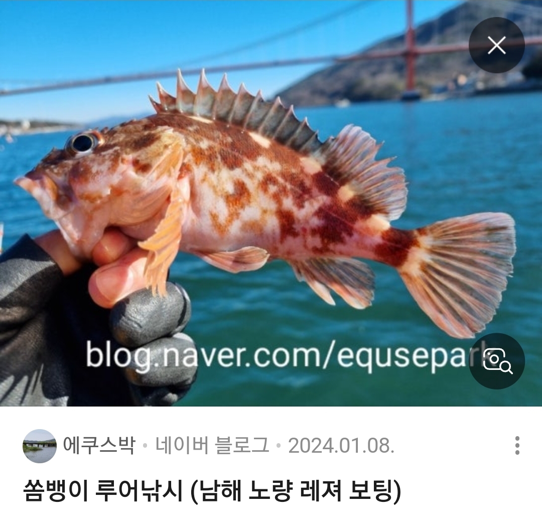 쏨뱅이